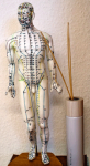 Akupunkturpunkte zur Schmerz-Behandlung